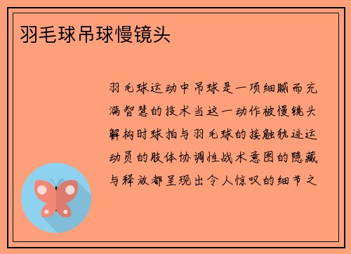 羽毛球吊球慢镜头